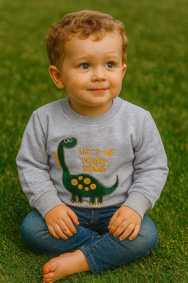 Grey dino embroier winter-sweat shirt