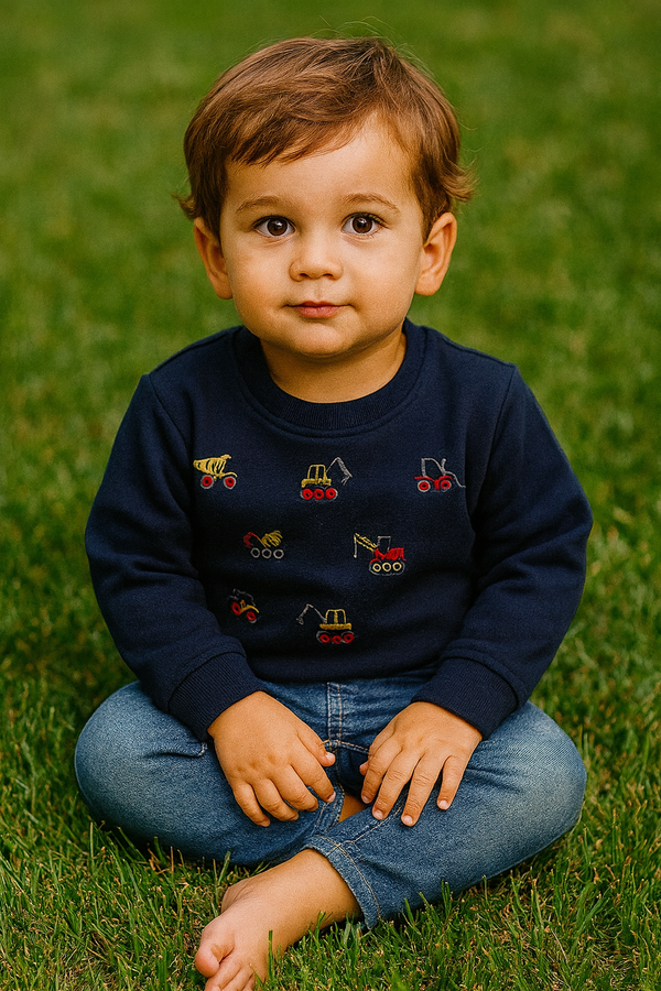 Blue Crain embroidery winter-sweat shirt